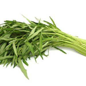 ត្រកួនស្រស់