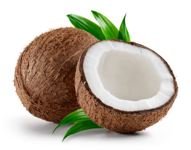 ផ្កែដូងខ្ទិះ