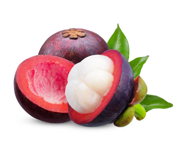 ផ្កែមង្ឃុត