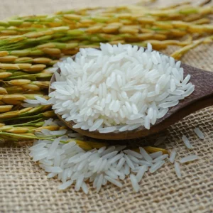 អង្ករដំណើប